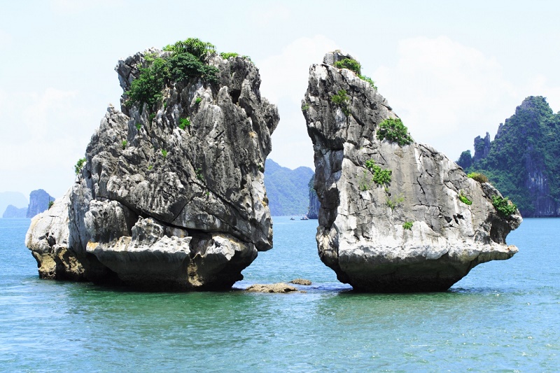 Hòn Gà Chọi - Một trong những biểu tượng của vịnh Hạ Long