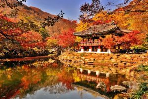 Thủ đô Seoul Hàn Quốc sẽ là một địa điểm tuyệt vời để bạn thưởng thức khung cảnh lá đỏ